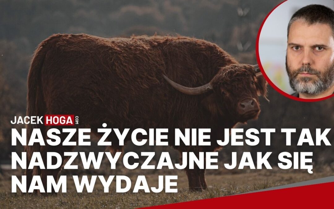 Nasze życie nie jest tak nadzwyczajne jak się nam wydaje