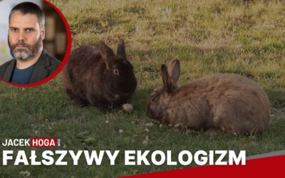 Fałszywy ekologizm