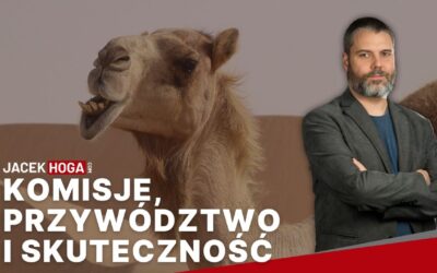 Komisje,  przywództwo,  skuteczność i odpowiedzialność